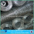 1/2 inch Double Twisted Wire Chicken Iron Wire Mesh